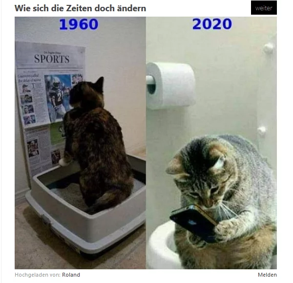 But times still change)) - cat, Humor, Images, Toilet, Telephone