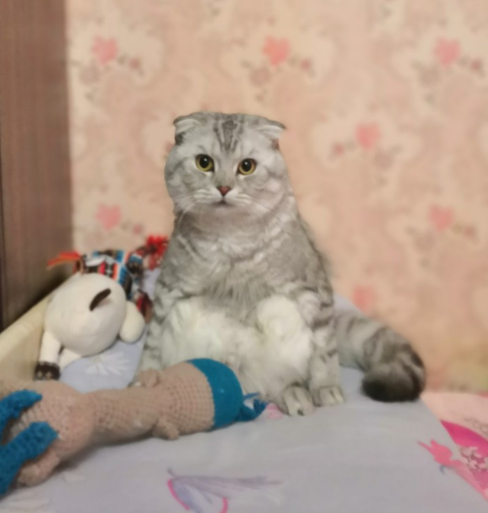 Все равно не сдамся