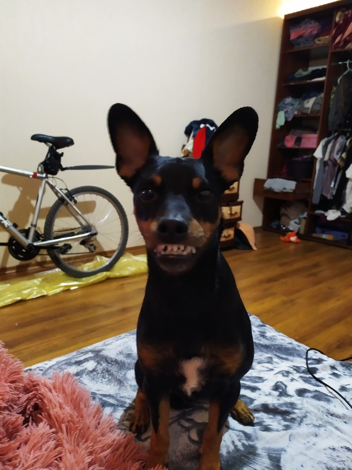   &quot;!&quot; 10  ...