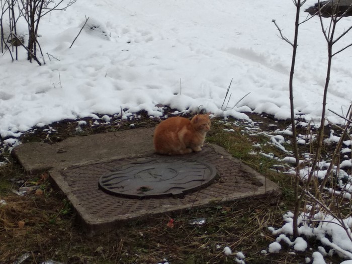 ����� ����� +3, � ������� �������