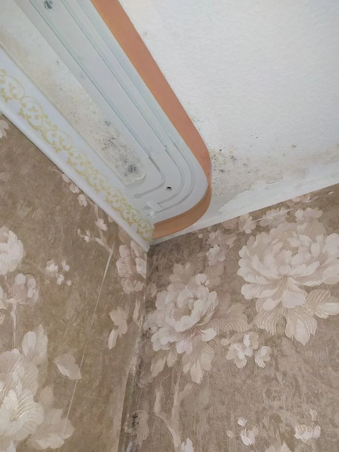 The wall in the corner room is sweating, what should I do? - My, Apartment, Black mold, Repair, Longpost