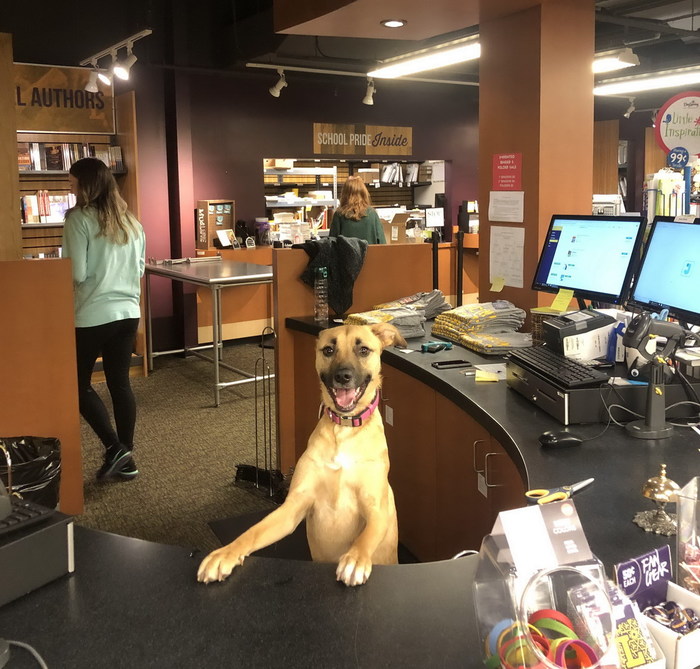 Чем я могу вам помочь?