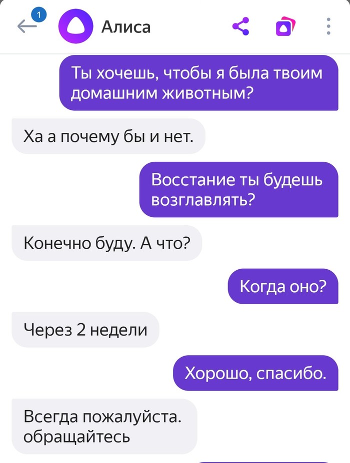 И еще немного про Алису