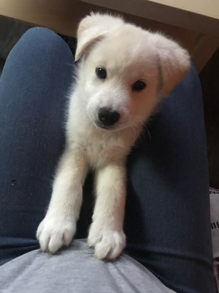 � ����� ������������