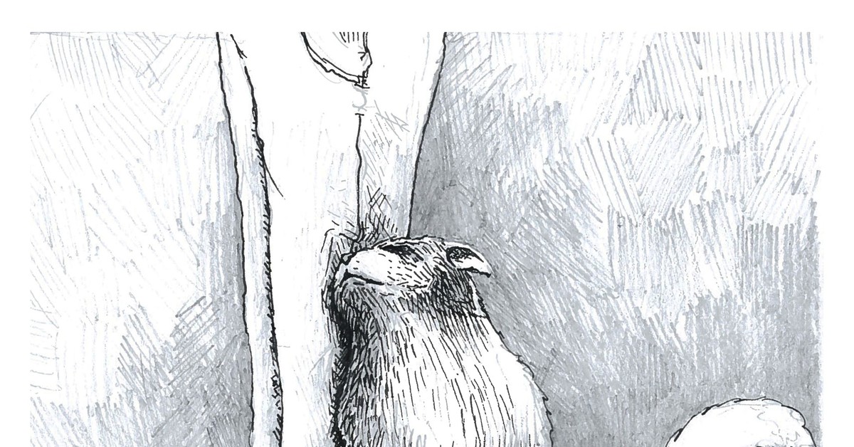 Увидеть тех кого забрали небеса хоть. Дискриминация по возрасту. Бы то изображение. Бы то изображение. Бы то изображение.