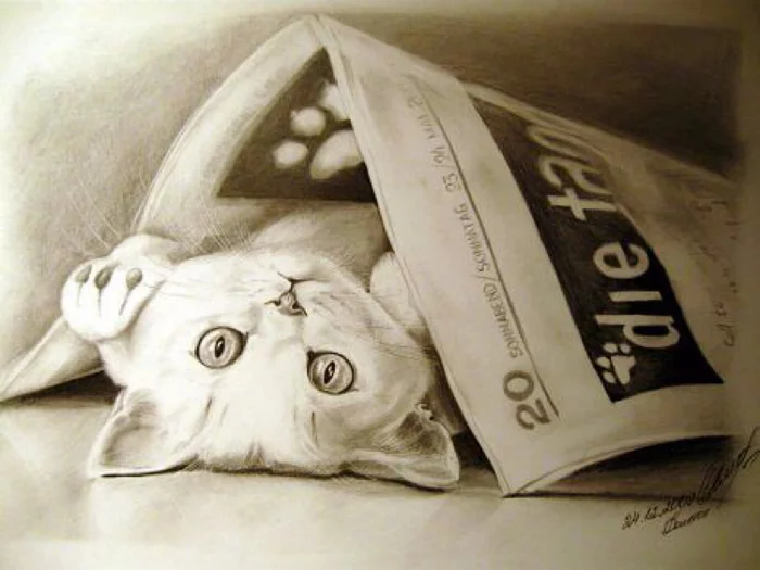 Pencil drawing - My, Pencil drawing, Learning to draw, cat