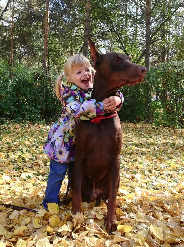 Girl and dog - My, The photo, Doberman, Children, Dog