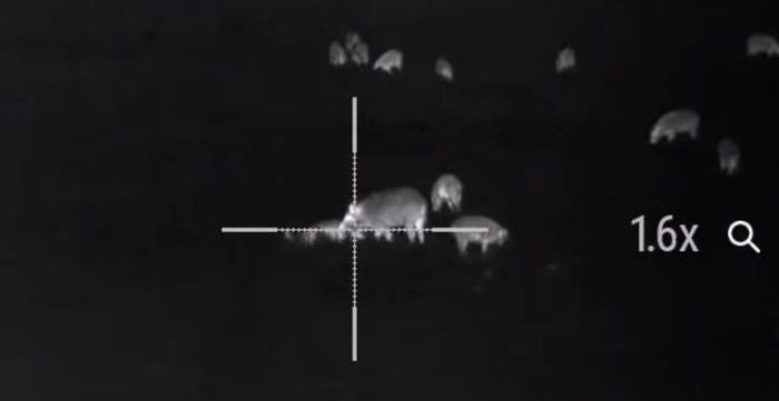 Features of thermal imaging sights and recommendations for selection - Thermal imager, Hunting, Advice, Longpost