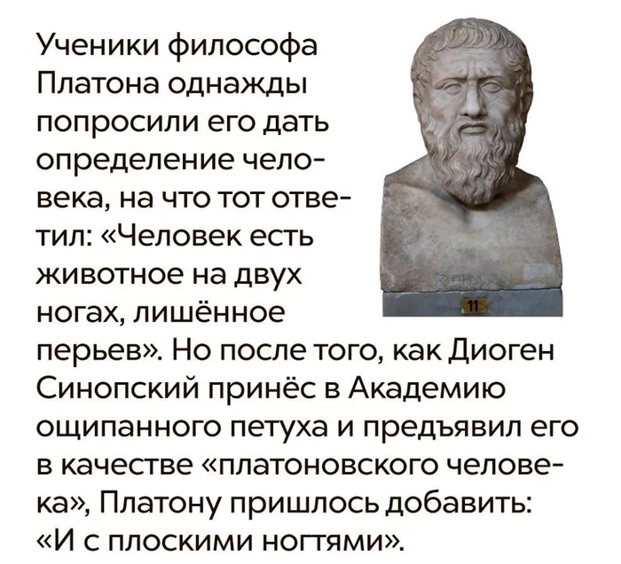 Good trolling - Trolling, Images, Picture with text, Plato, Diogenes