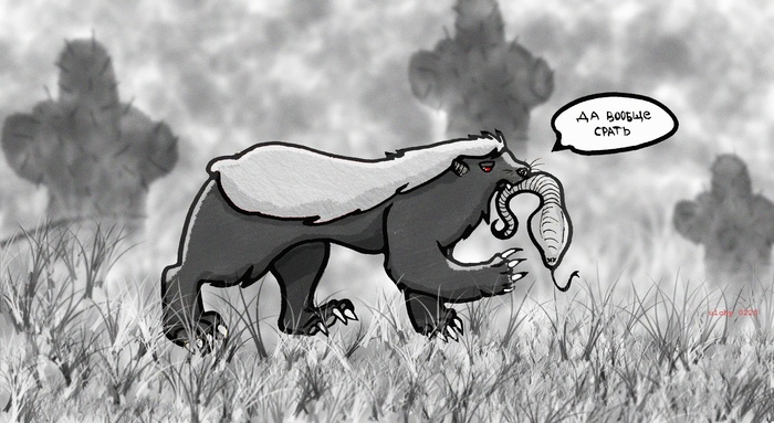      ! , , , ,   , ,   