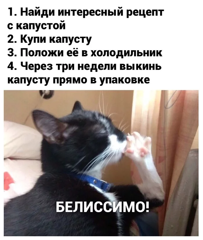 Cooking lesson for the elite - Cabbage, Recipe, cat, Picture with text