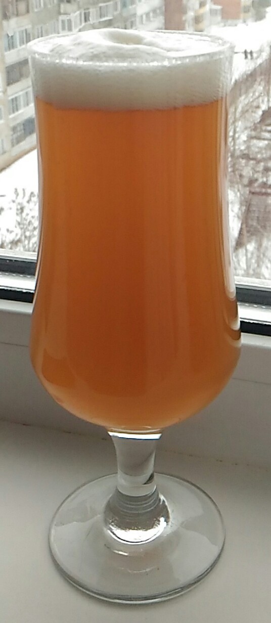 Американская пшеничка CitraWheat V2. (Citra, Mosaic, Galaxy). Рецепт - Моё, Пиво, Пивоварение, Длиннопост, Крафтовое пиво, Пивоварня, Цитра