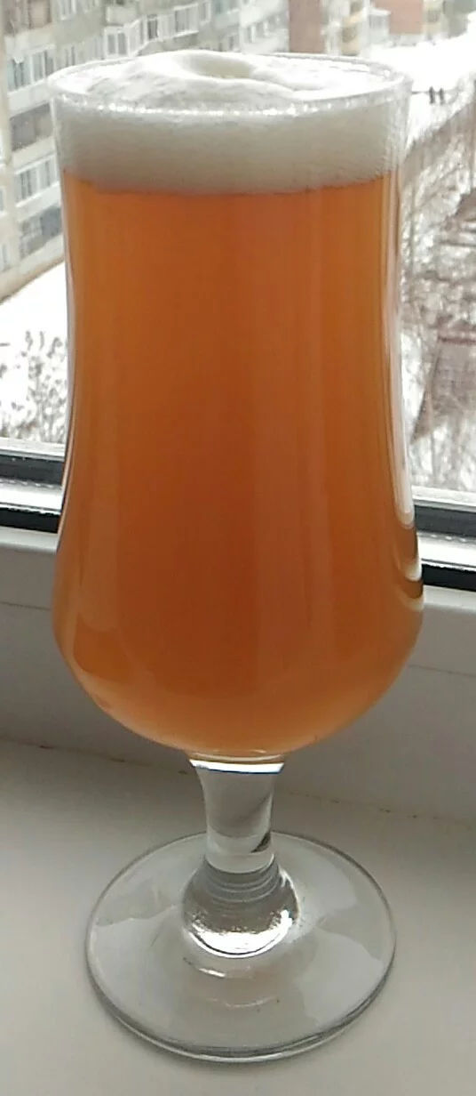 American wheat CitraWheat V2. (Citra, Mosaic, Galaxy). Recipe - My, Beer, Brewing, Longpost, Craft beer, Brewery, Zither