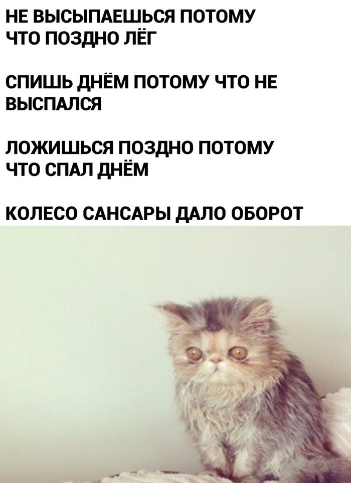     , , 