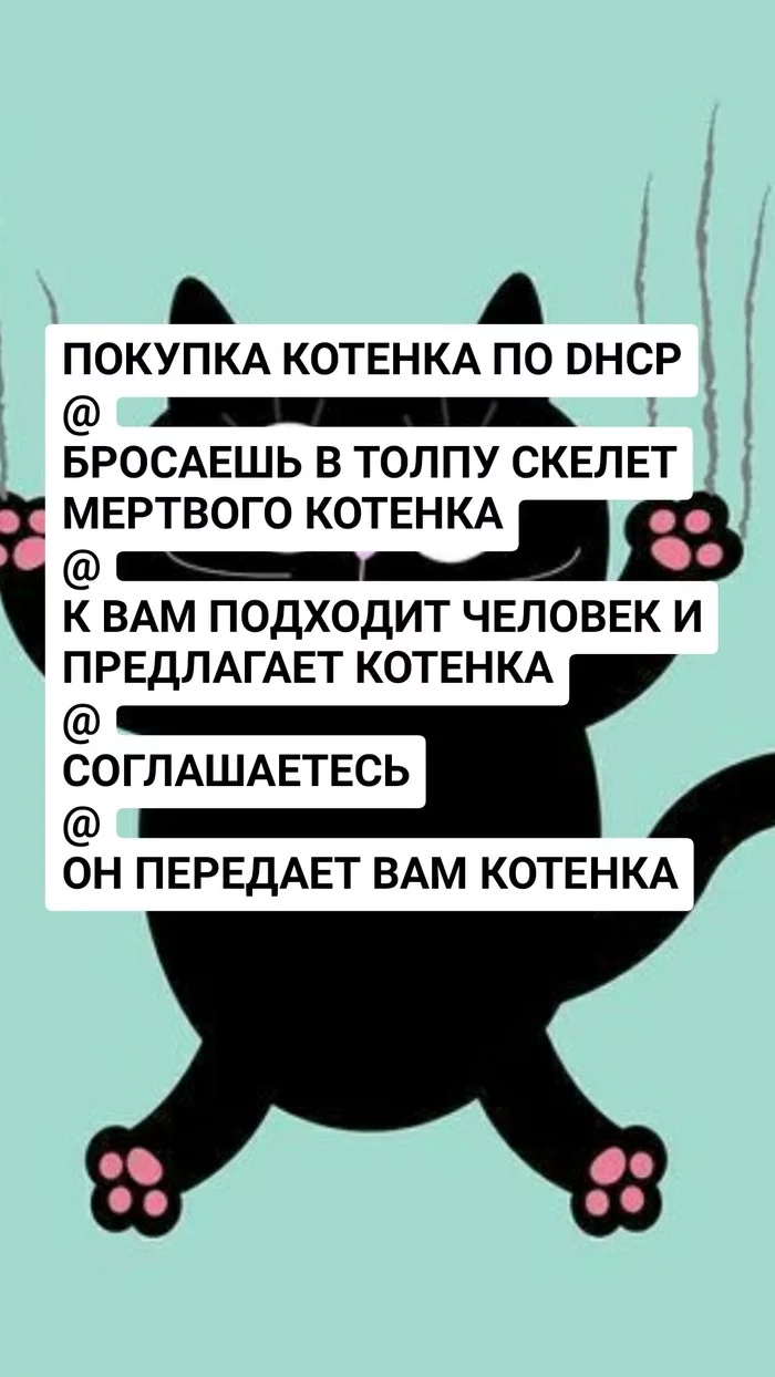 IT-котята - IT юмор, Объяснение, Длиннопост