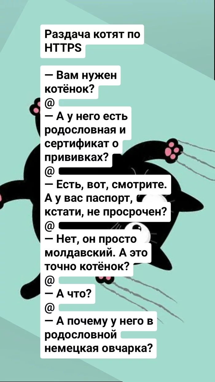 IT-котята - IT юмор, Объяснение, Длиннопост