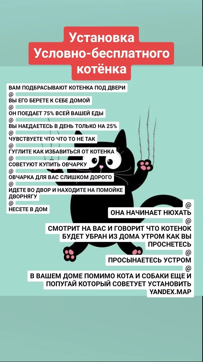 IT-котята - IT юмор, Объяснение, Длиннопост