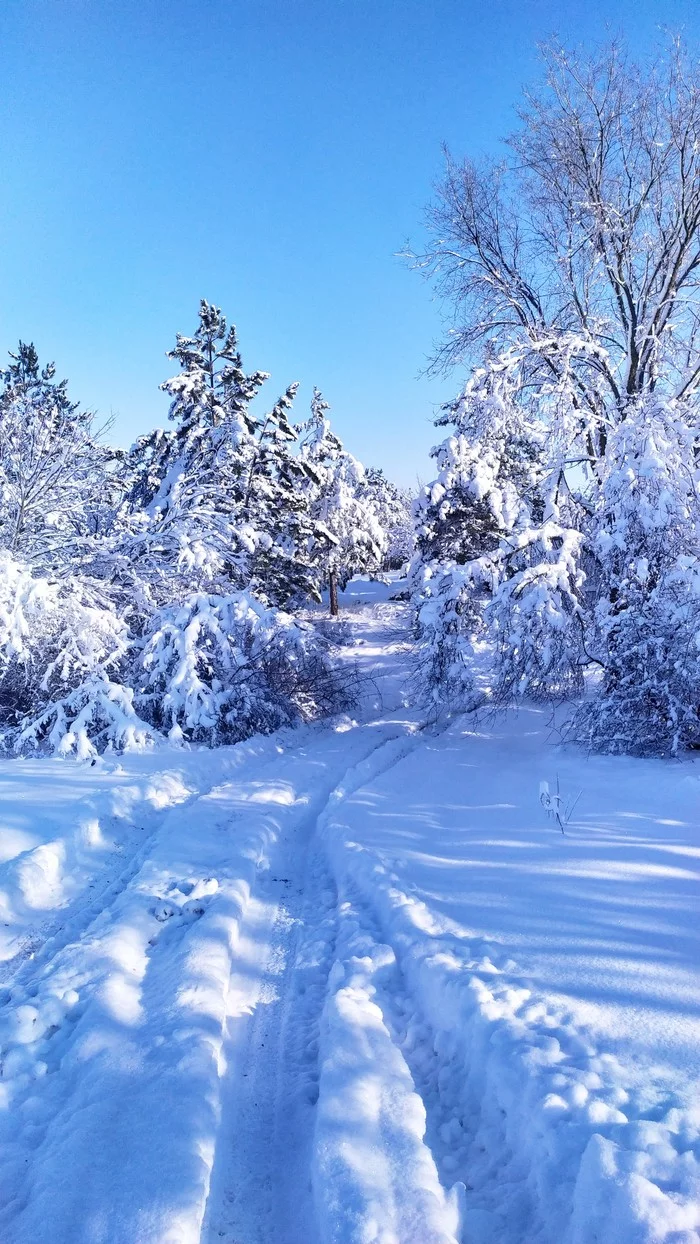 Winter has come to Rostov - My, Nature, Winter, The photo, Relaxation, Pokatushki, Longpost