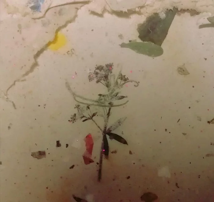 Recycling waste paper into new paper - My, Paper, With your own hands, Longpost, Needlework with process