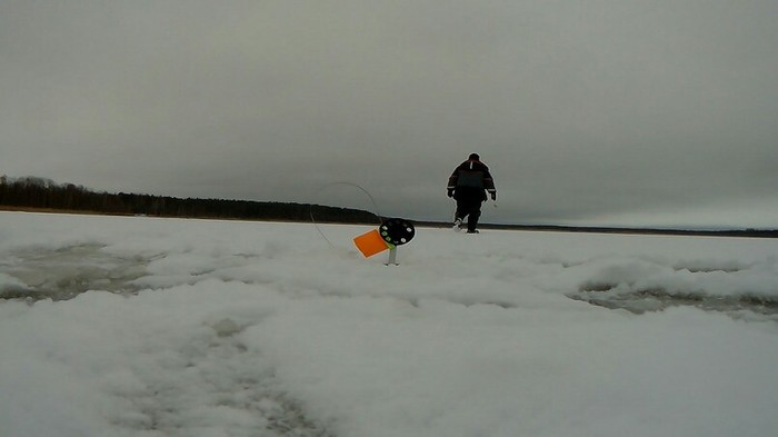 Pike fishing in the middle of nowhere - My, Pike, Fishing, Zherlitsy, Perch, Video
