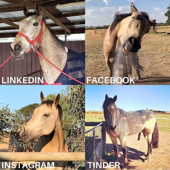 А что тогда в Одноклассниках?