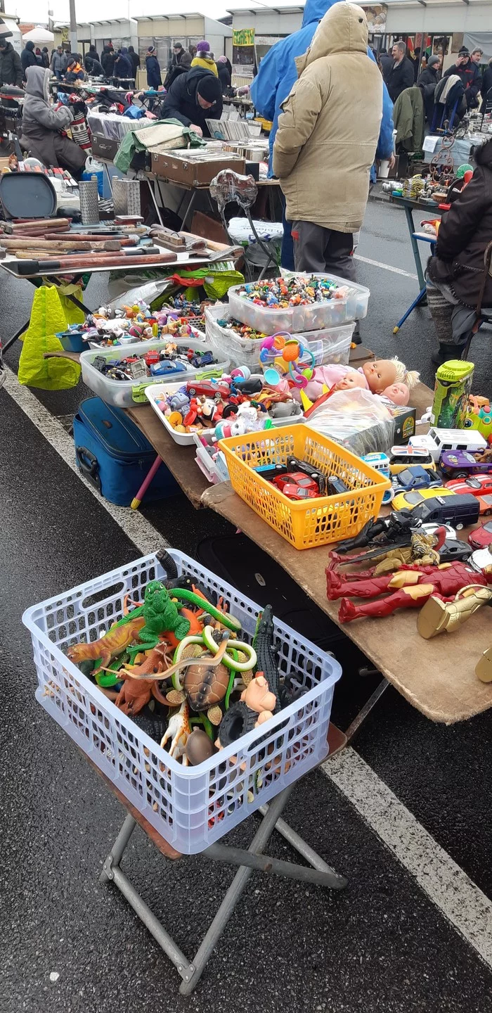 Saint Petersburg. Flea market at Juno Market - My, Saint Petersburg, Samsung Galaxy A8 Plus, cat, Longpost