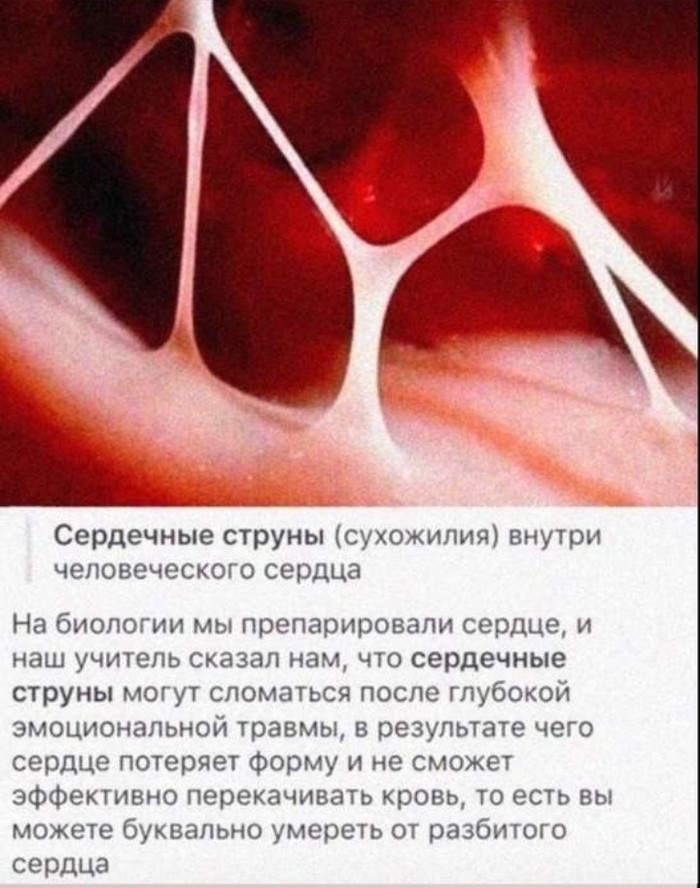 Оказывается, сердце можно разбить...