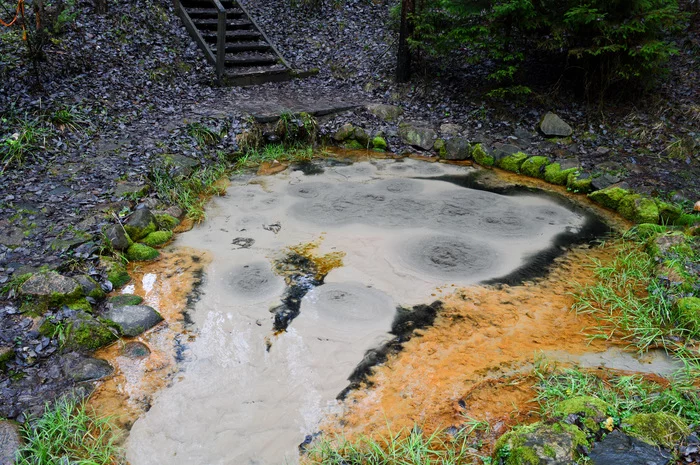 Spring with boiling water - My, Republic of Belarus, Spring, Water, Bubbles, Video, Longpost