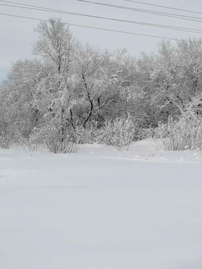 Winter in Siberia - My, Winter, Siberia, The photo