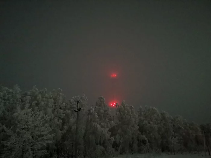 Frost and fog - My, freezing, Fog, Forest, The photo