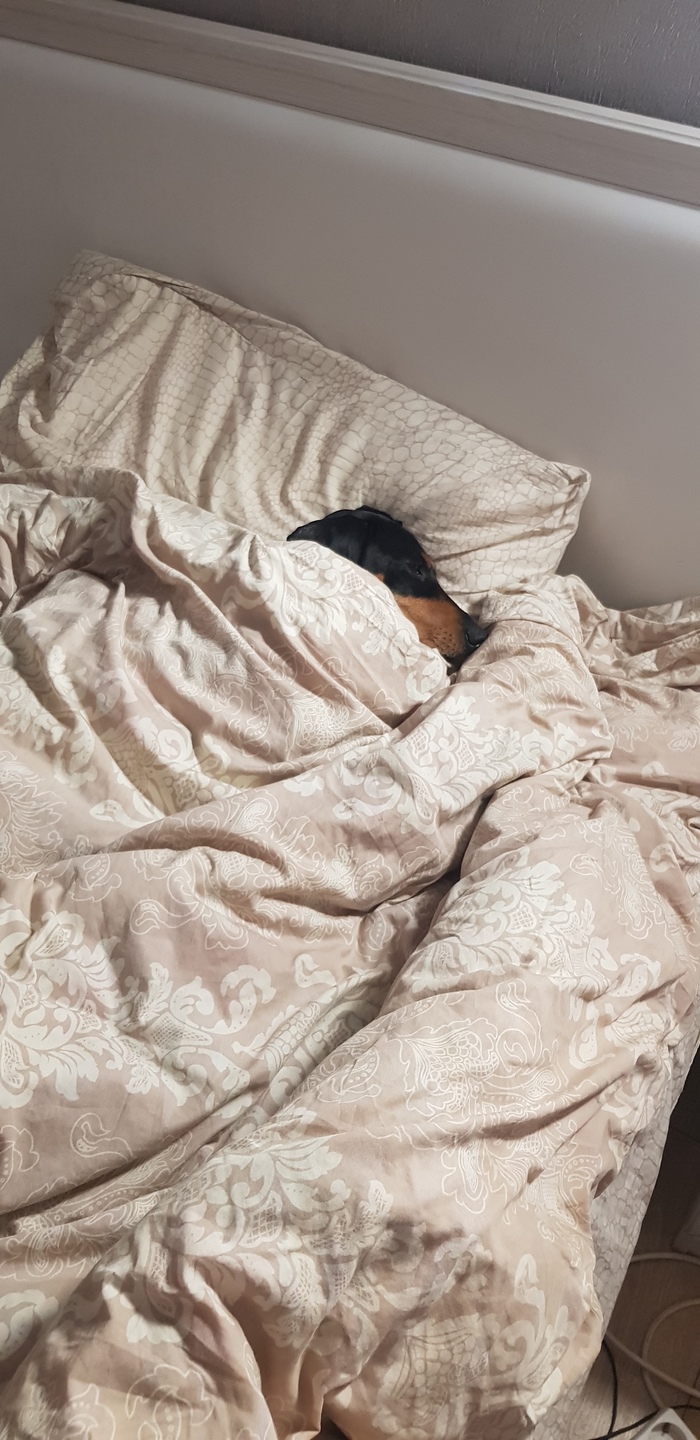 Сама иди под этим дождем гулять