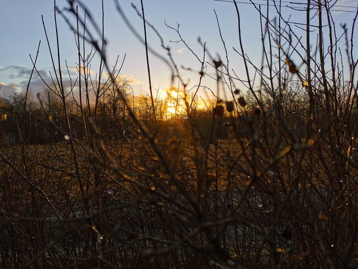 Почему бы и нет...