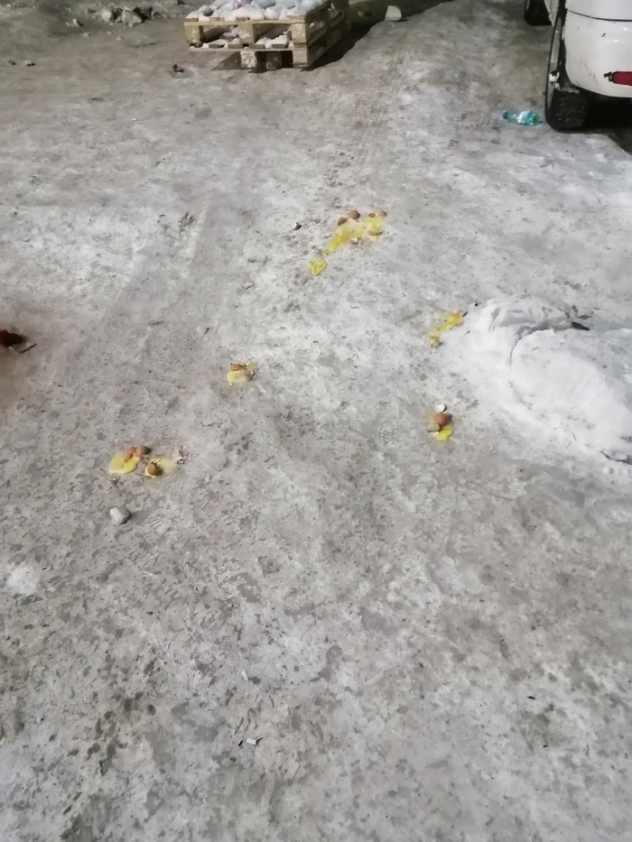 Картина Яйцами