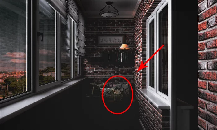 Unknown creature on the balcony! What is this? - Unknown, Creatures, What's this?, UFO, Aliens