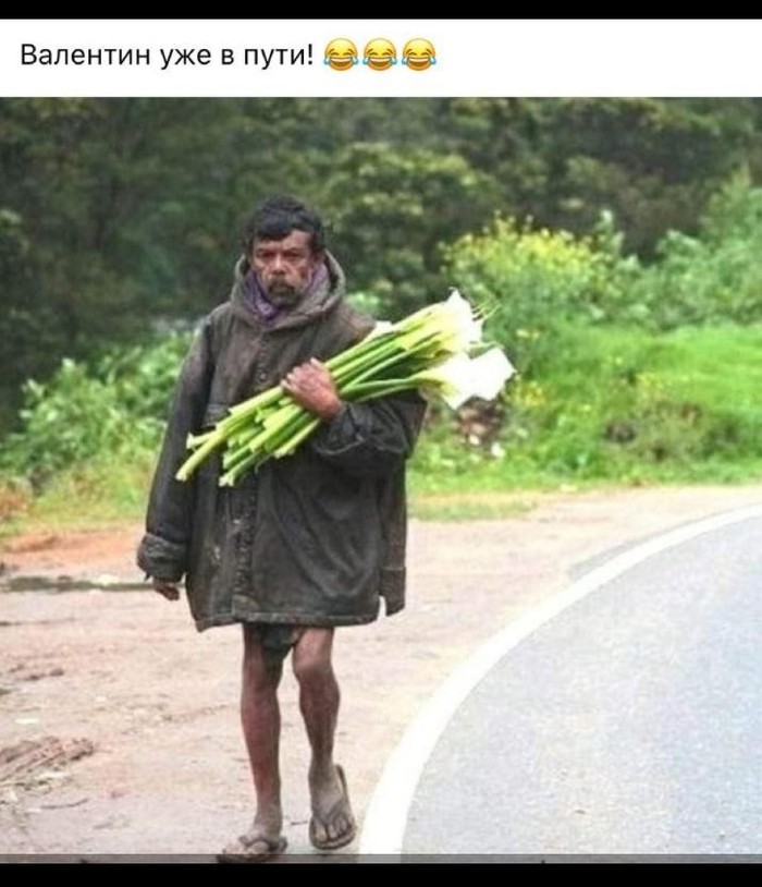 ���� ������� ���������