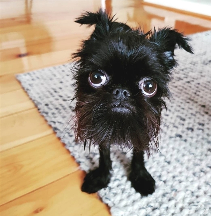 ������ ��� � ���� ����������� ��������