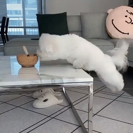 все что мне так близко так далеко смысл. Смотреть фото все что мне так близко так далеко смысл. Смотреть картинку все что мне так близко так далеко смысл. Картинка про все что мне так близко так далеко смысл. Фото все что мне так близко так далеко смысл все что мне так близко так далеко смысл. Смотреть фото все что мне так близко так далеко смысл. Смотреть картинку все что мне так близко так далеко смысл. Картинка про все что мне так близко так далеко смысл. Фото все что мне так близко так далеко смысл