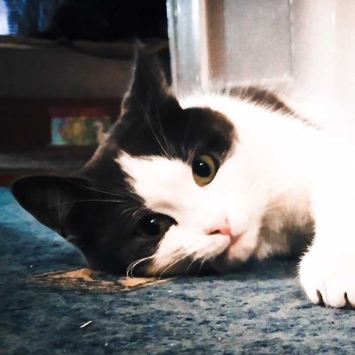 ��������