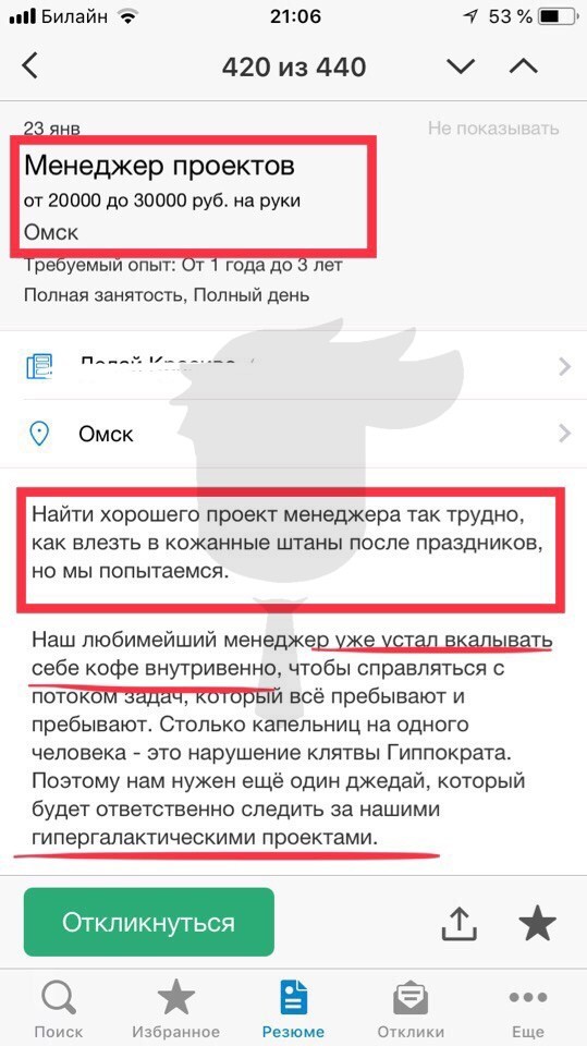 Менеджер проектов:) - Работа, Вакансии, Трудоустройство, Собеседование, Юмор