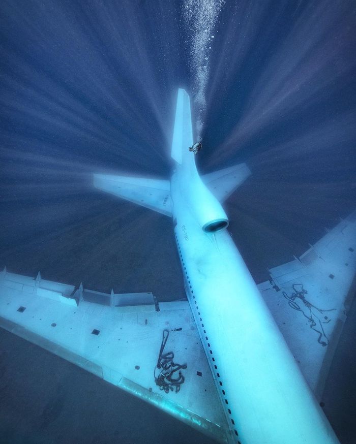 Алекс Доусон (Alex Dawson)— фотограф, аквалангист и режиссер Фотография, Дайвинг, Море, Длиннопост