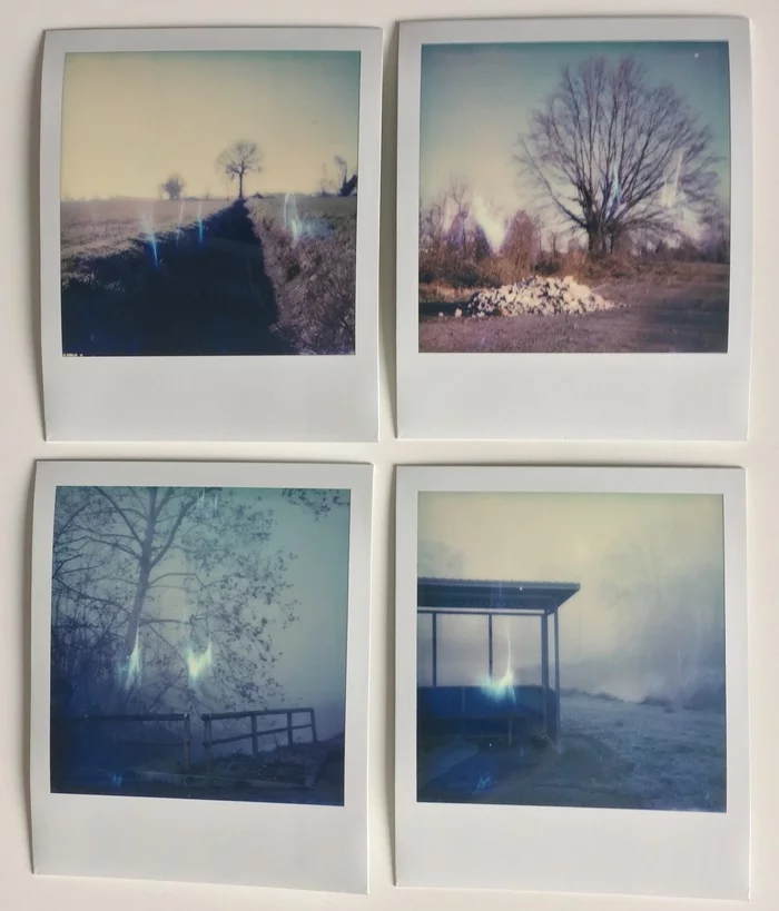 Is Polaroid still alive? Your opinion?) - My, Polaroid, Impossible, Film photo cards, The film did not die, Fog