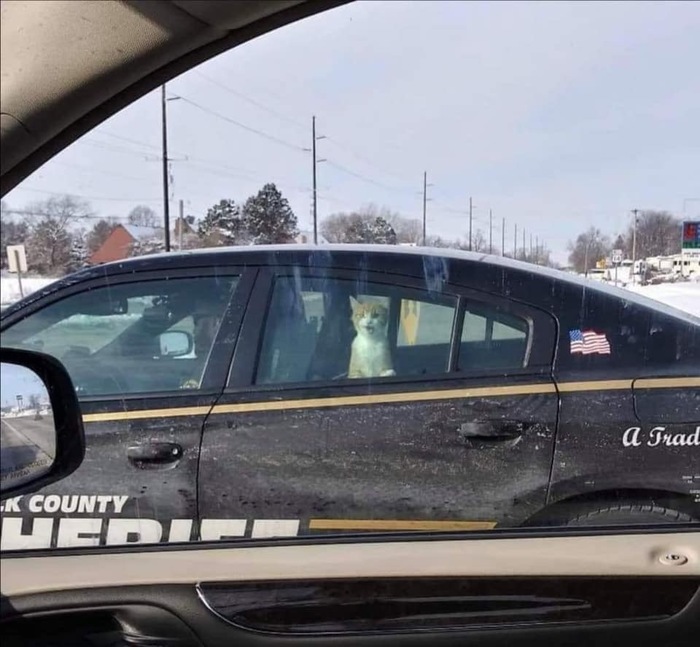 За чтоооооо?