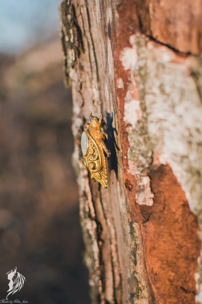 Cicada made from polymer clay - My, Handmade, Polymer clay, Longpost, Cicada, Nika_kiss, Insects