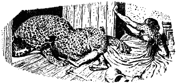 The story of the cannibal leopard and its capture - Leopard, Man-Eating Animals, India, Hunting, Longpost