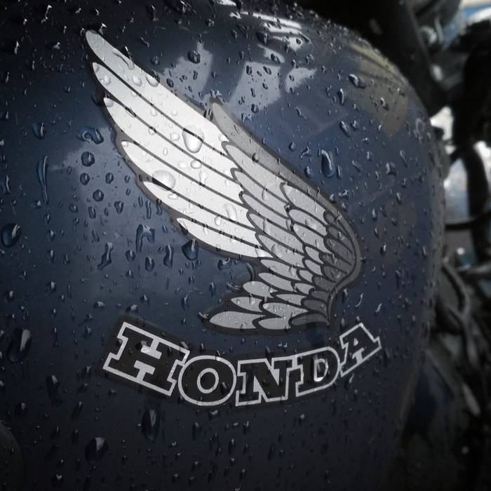 ������ ��������, ������ �����