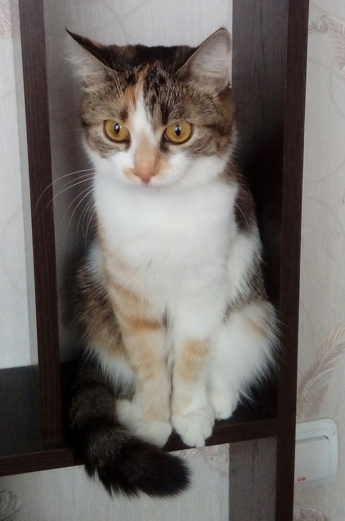 ���������� �������� ������� ������ :D