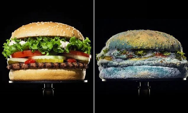 Burger King released an ad featuring a rotten burger. - Burger King, Advertising, Fast food, Chemistry, Healthy eating