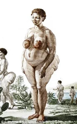 HOTTENTOT VENUS - My, Africa, Venus, Slavery, Story, Longpost, Steatopygia