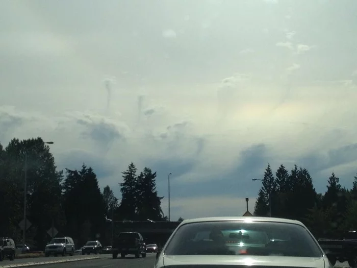 Jellyfish clouds - My, Clouds, Natural phenomena, Jellyfish