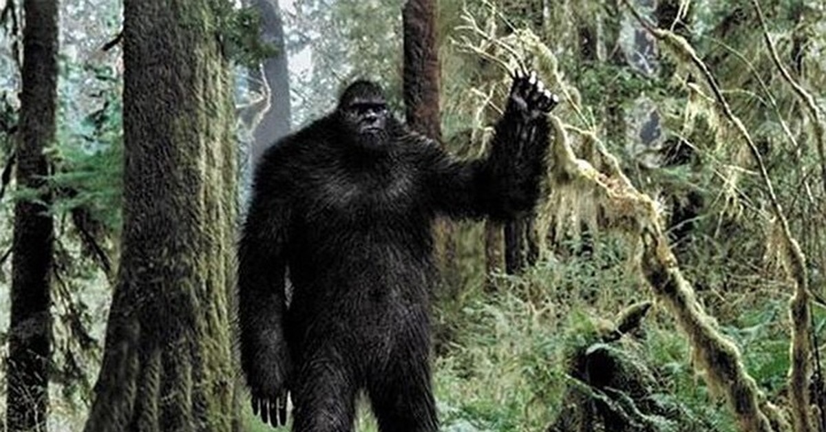 Етти снежный человек. Какого размера йети. Бигфут сасквоч йети. Какого размера йети. Какого размера йети.